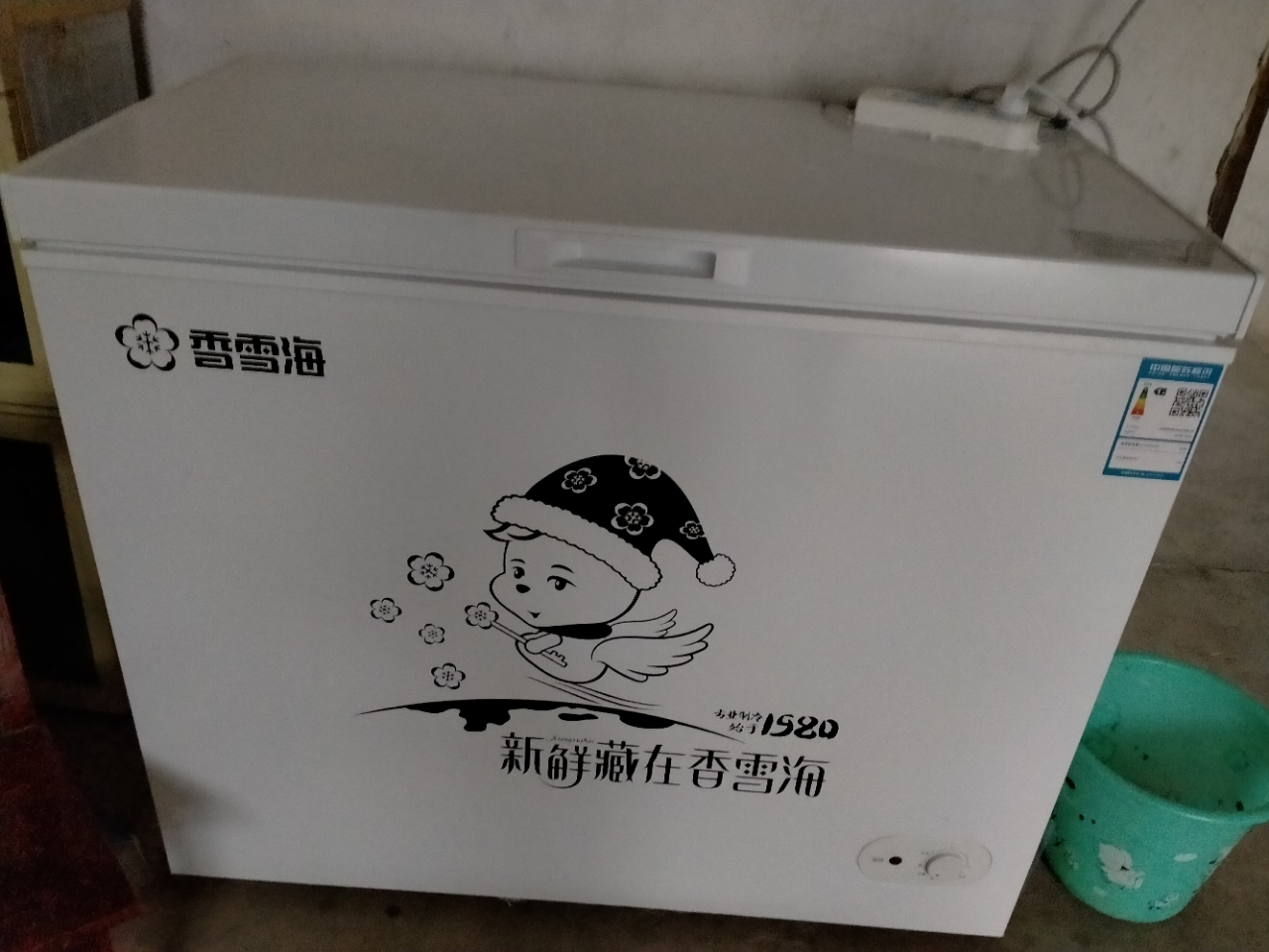 香雪海 248升 冰柜家用冷柜 冰柜小型家用 冷藏冷冻可转换 大容量单温