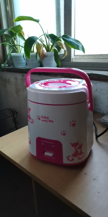 电饭锅荣事达小型