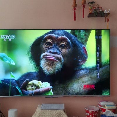 海信(hisense)电视旗舰店65e4f-p35 65英寸彩电memc防抖ai声控4k超