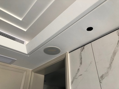 1套装吸顶音响吊顶音箱晒单图