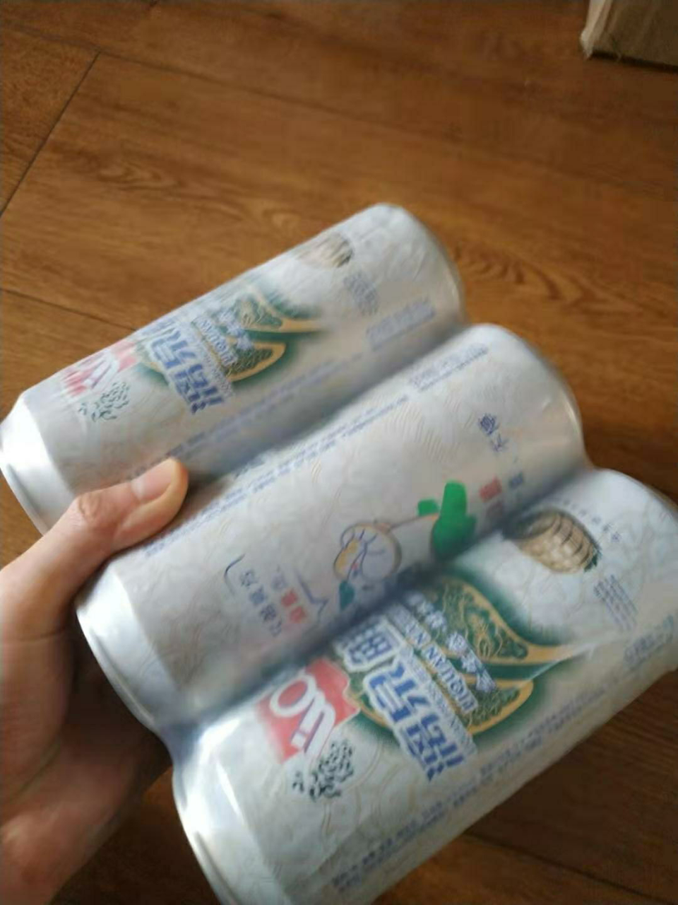 【中华特色】桂林馆 漓泉鲜啤酒 整箱广西500ml*12听装易拉罐装 啤酒9