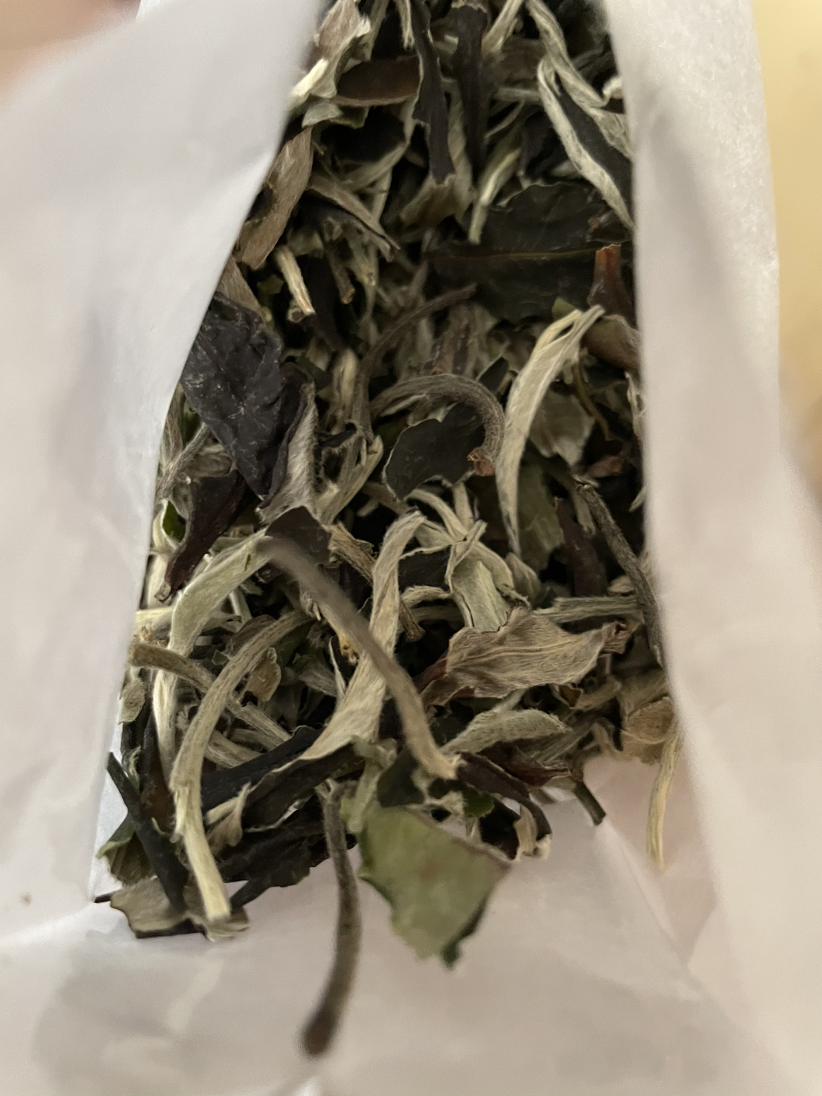 2020春茶 月光白 250g半斤装新益号 月光美人茶 云南普洱茶生茶 普洱