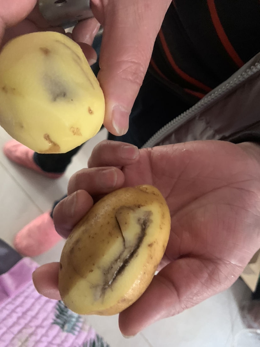 【店长力荐】山东现挖土豆3斤装 单果100g以上 新鲜现挖农家小土豆