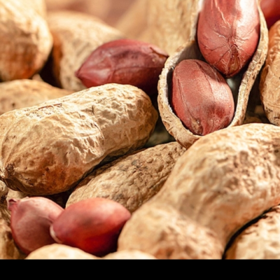 洽洽瓜子花生优惠组合500g*2 425g*2恰恰坚果炒货休闲零食小吃年货