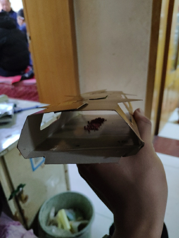 雷达蟑螂屋10只装 抓蟑螂 家用除蟑神器 无毒零农药进口蟑螂屋 小强