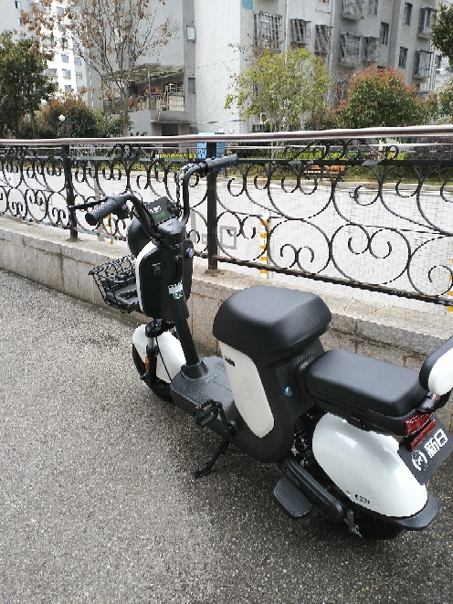 新日(sunra)电动车 新国标xcmini电动自行车 可提取锂电池 成人电瓶车