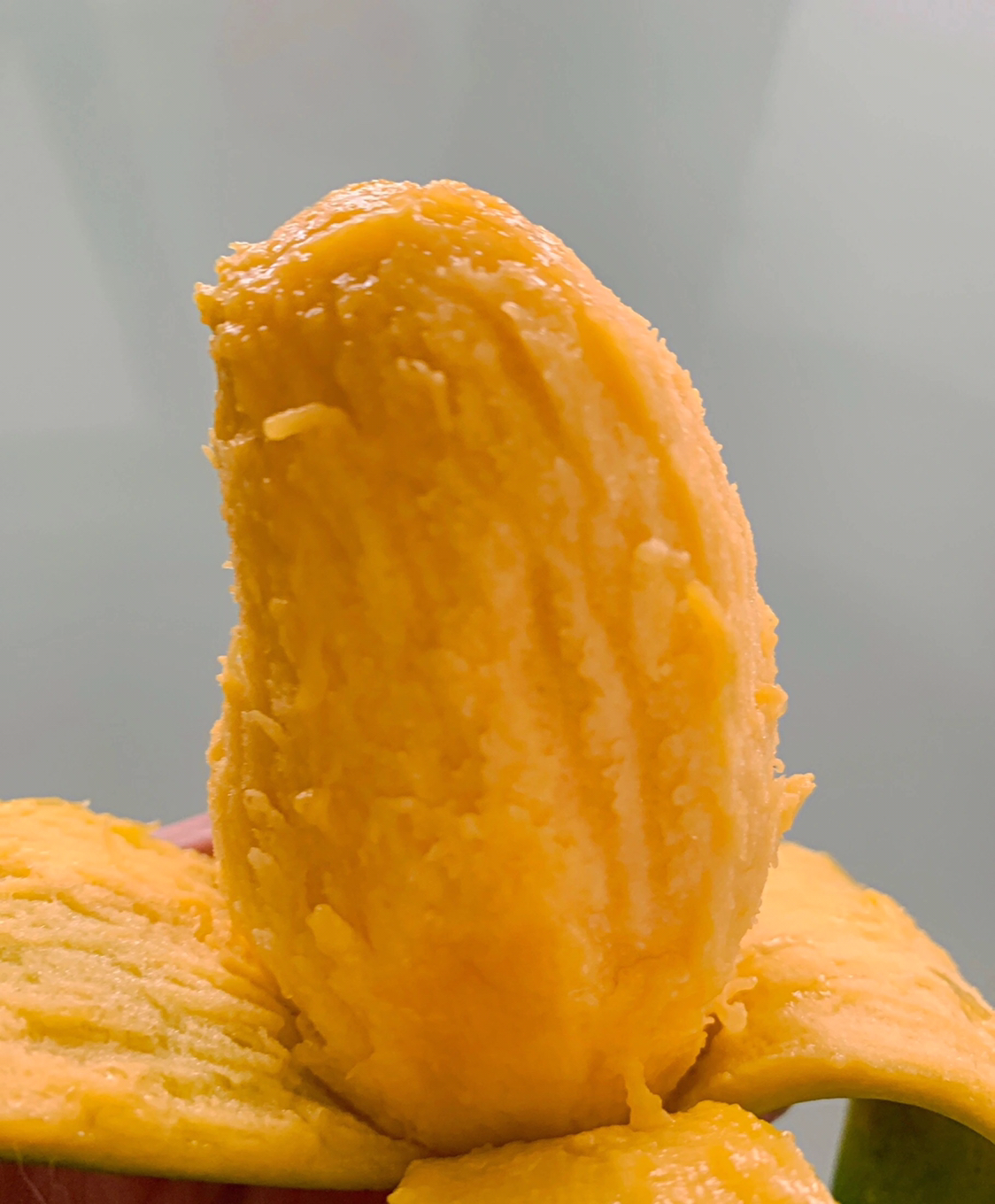 5斤 小台农芒果新鲜应当季整箱热带水果小核 青孖集水果晒单图