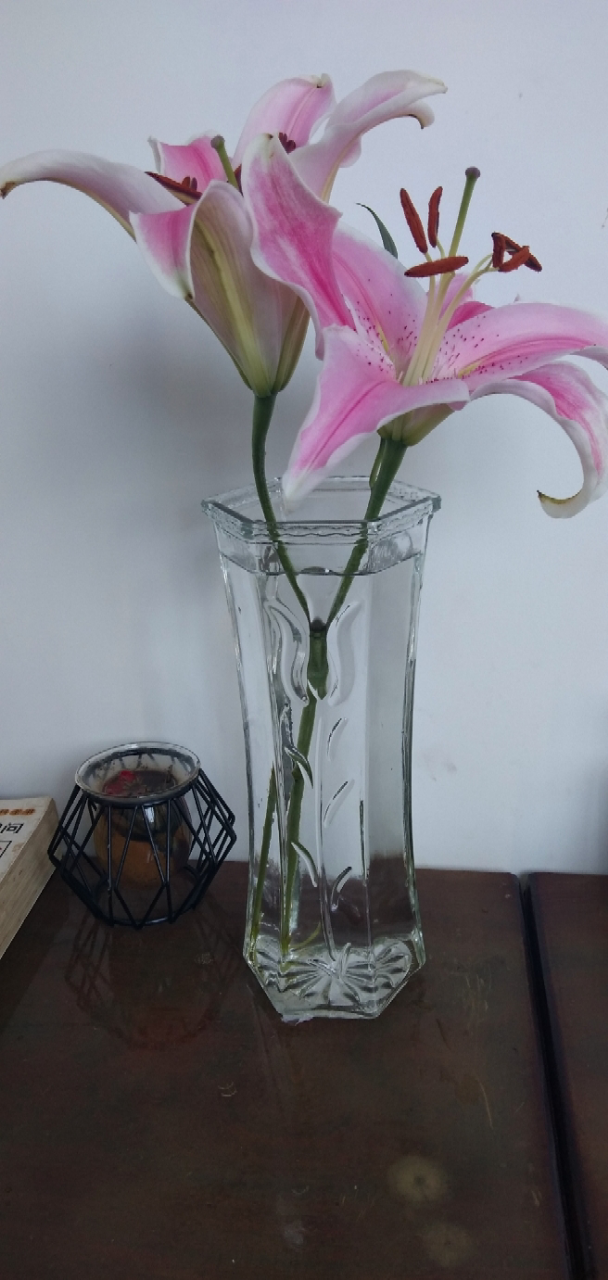 玻璃花瓶怎么样 玻璃花瓶好不好 玻璃花瓶价格 评价 图片 苏宁易购