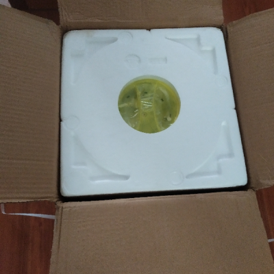 长虹 双桶洗内衣内裤袜子神器便携式小型迷你分桶洗衣机婴儿衣服清洗