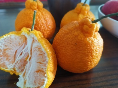 1号鲜客(freshman) 四川不知火丑橘9斤 丑八怪耙耙柑 新鲜当季水果