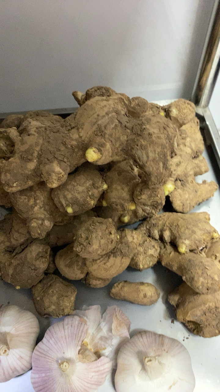 新鲜生姜5斤装 农家辣姜老姜土姜汁多味浓炒菜作料生姜窖藏 大黄姜