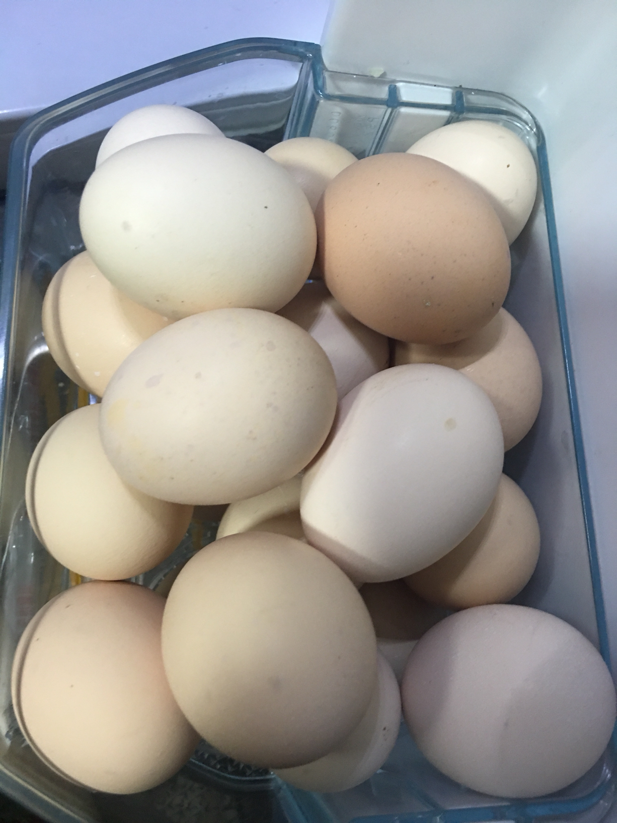 正宗农家散养土鸡蛋30枚笨鸡蛋柴鸡蛋草鸡蛋 农村自养晒单图
