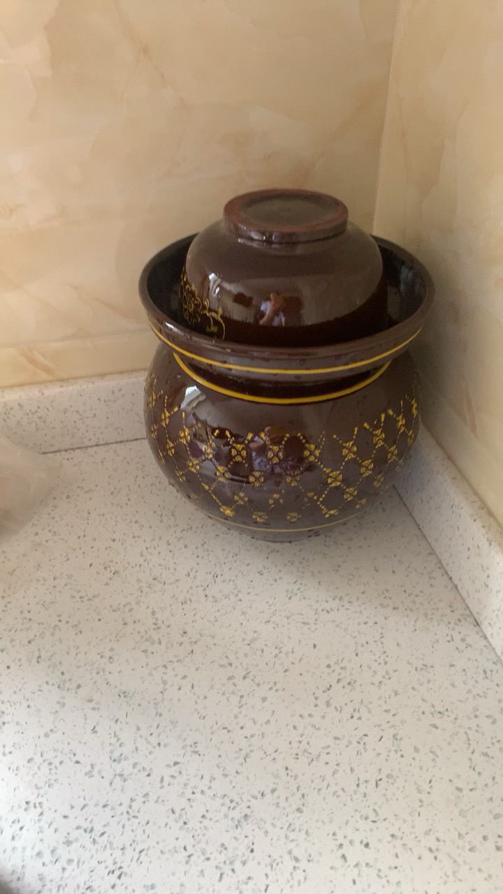 四川泡菜坛子陶瓷泥罐家用腌菜罐土陶缸纳丽雅加厚酸菜厨房密封老式