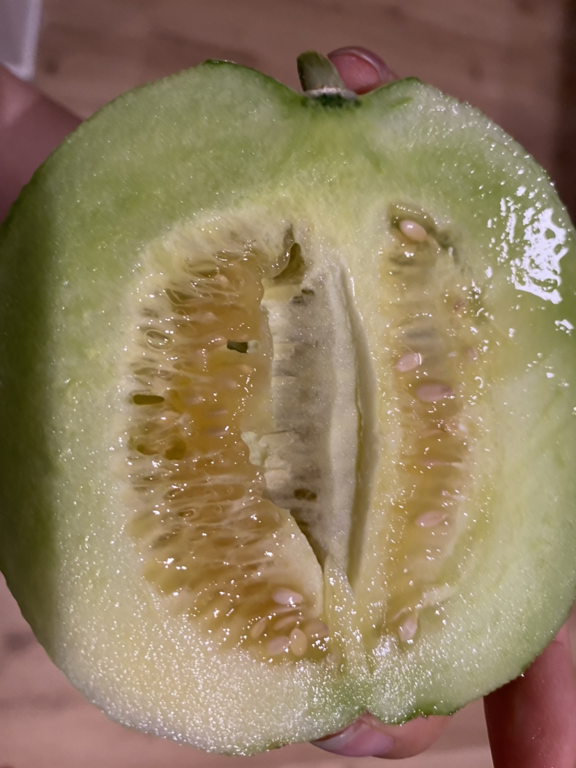 [一贤生鲜]陕西阎良新鲜绿宝甜瓜 带箱5斤装 6-9个 香甜可口 新鲜水果
