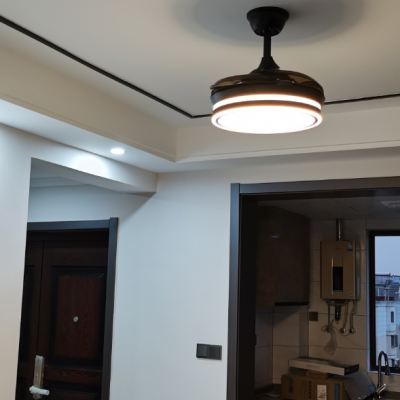 tcl 吊扇灯隐形风扇灯 吊扇灯客厅灯吸顶灯餐厅卧室家用简约现代铝带