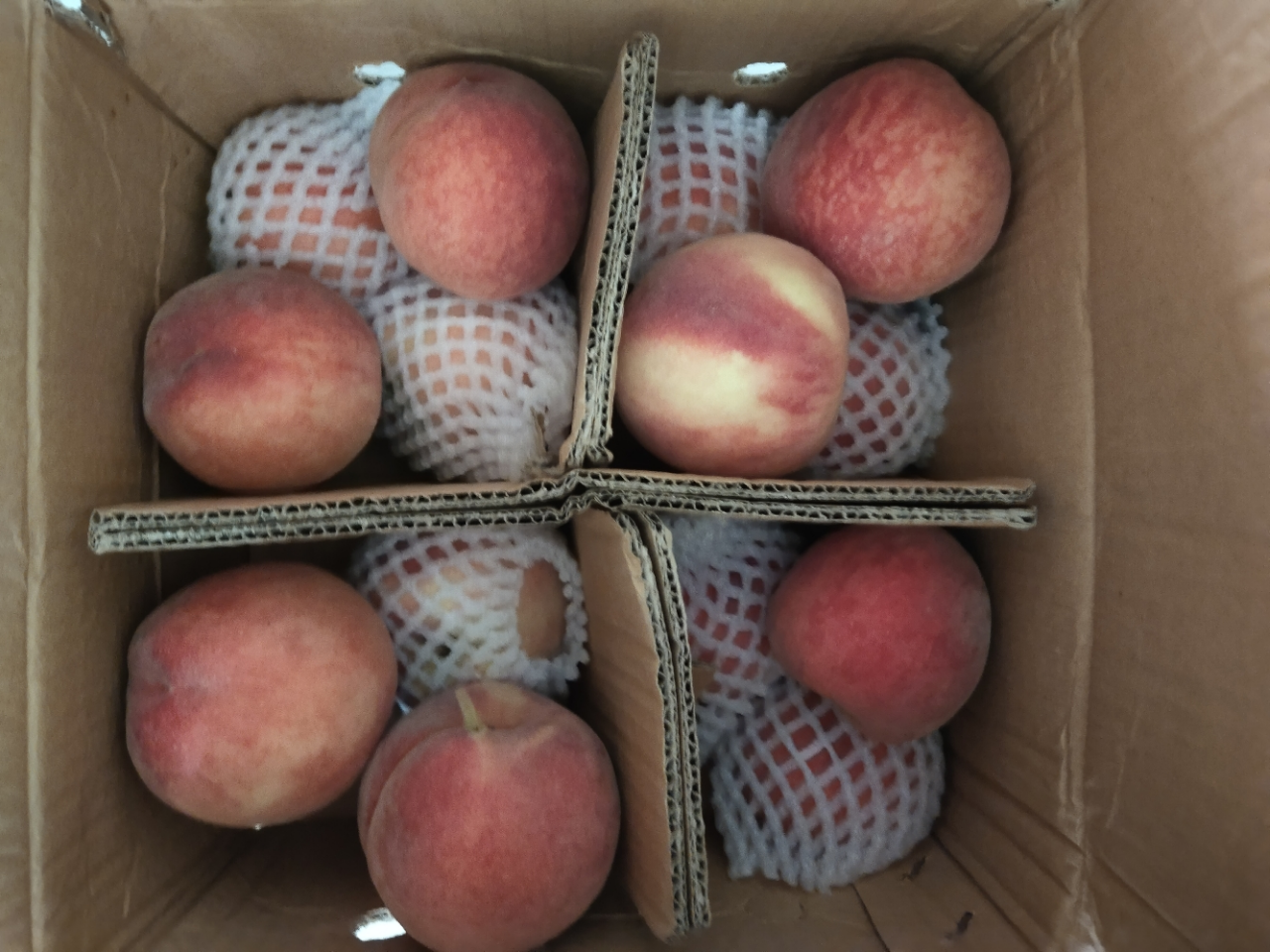 五个农民新鲜水蜜桃5斤带箱装(单果克重150g )装现摘脆桃毛桃季新鲜现