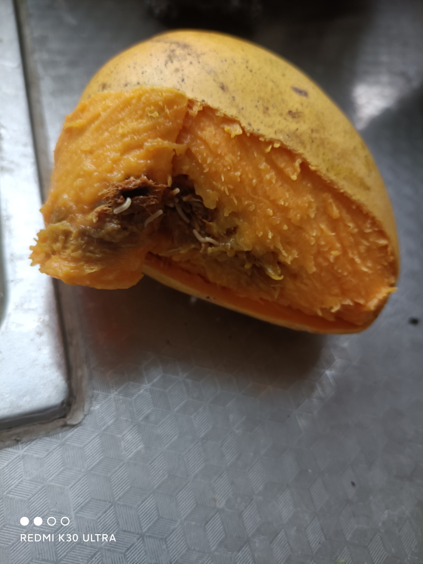 [西沛生鲜]精选海南小台农芒果 净重5斤 单果130g以上 大果 当季新鲜