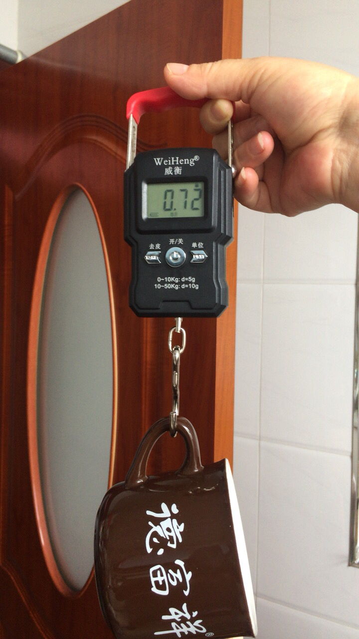 手提电子秤时光旧巷50kg家用弹簧秤小型便携式迷你手拿式买菜吊勾称