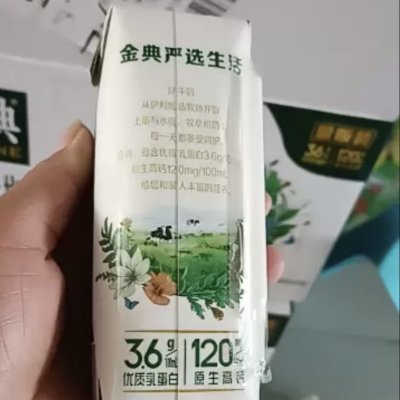 伊利 金典纯牛奶利乐钻(电商版)250ml*16盒装晒单图