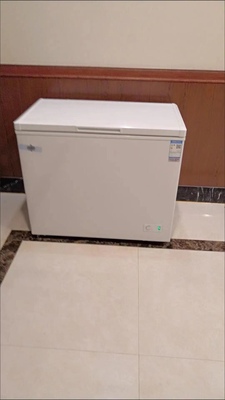 格力(gree)冰柜bc/bd-162d2白色冰箱 162升变温冷箱柜 冷藏 微冻 冷冻