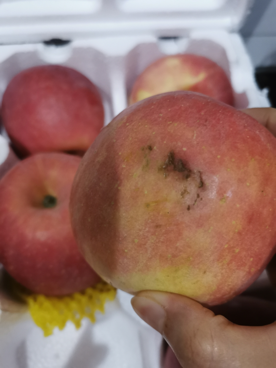 8斤 果径80mm以上 脆甜多汁 新鲜烟台苹果水果 山东红富士苹果 星优选