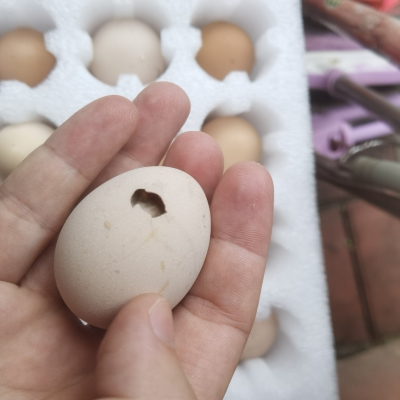 农家田园新鲜土鸡蛋30枚40枚 杂粮喂养笨鸡蛋草鸡蛋特产孕妇宝宝辅食