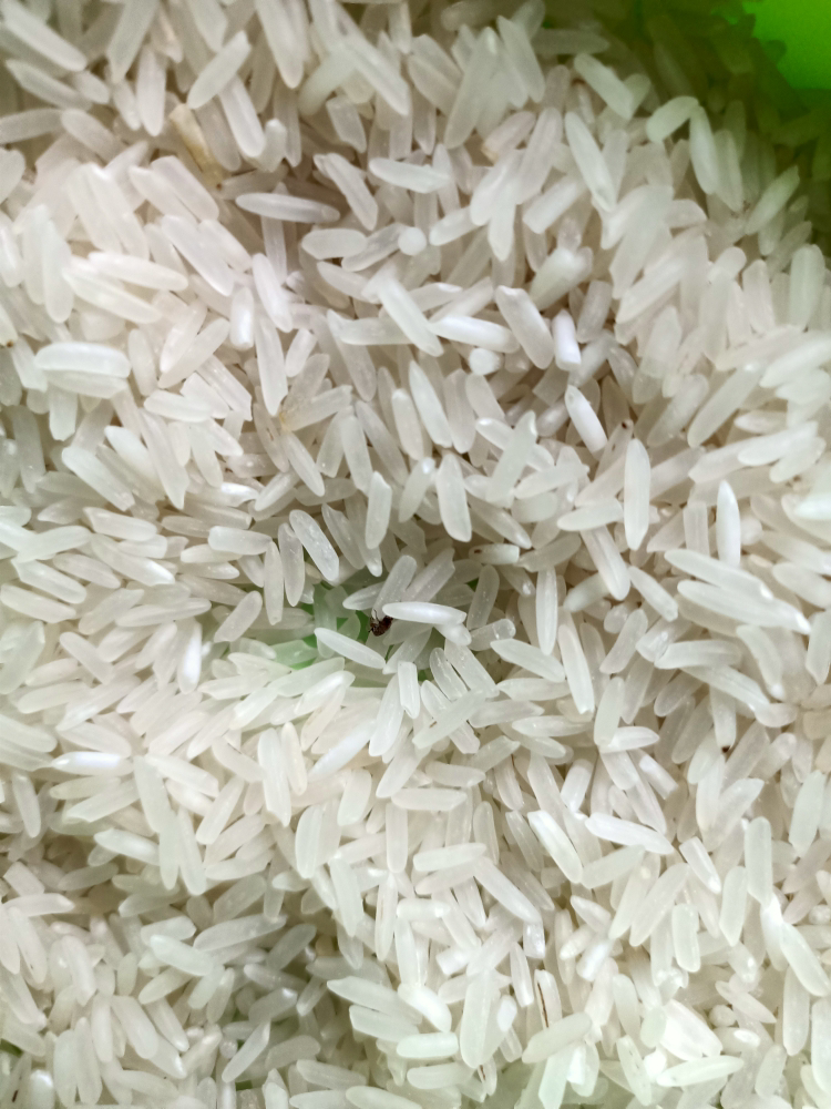 食细