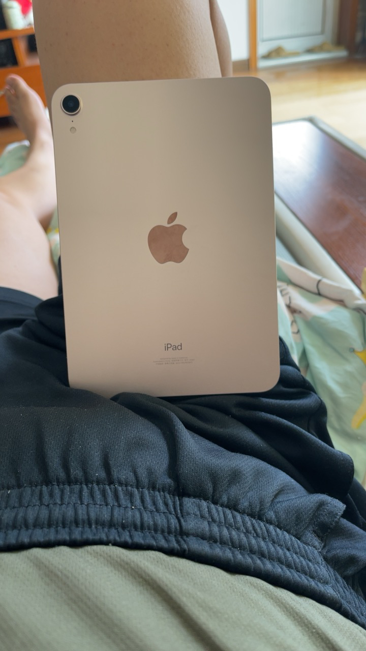 2021款 apple ipad mini 6 代 8.