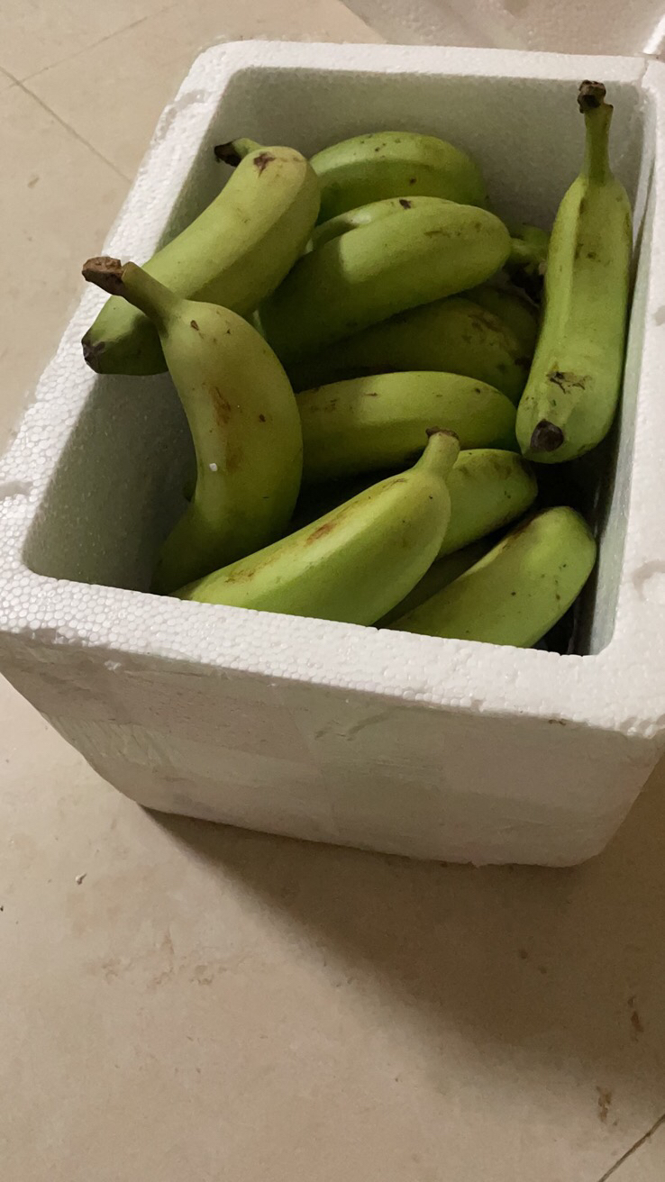 【西沛生鲜】福建天宝香蕉5斤箱装 新鲜当季水果 香甜软糯 孕妇宝宝