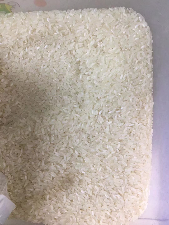 禾园常 东北大米 圆粒米 珍珠小香稻 500g*2晒单图