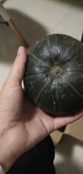 陕西沙漠板栗南瓜5斤 单个重1000-1500g 时令生鲜蔬菜南瓜坏果包赔