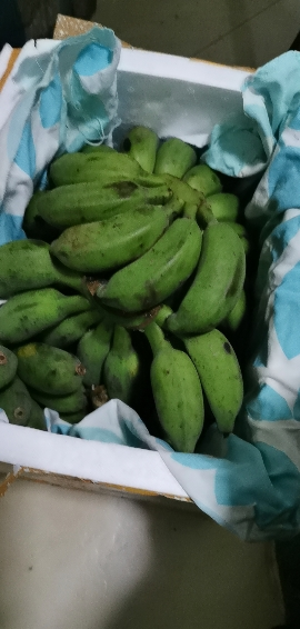 芭蕉怎么样_芭蕉好不好_芭蕉价格,评价,图片-苏宁易购