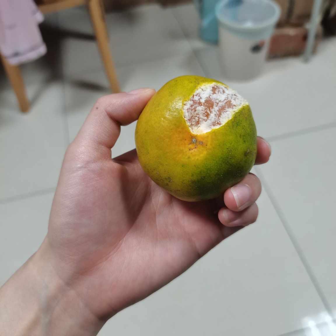 [中华特色]秭归馆 一苇农佳 秭归脐橙中华红橙血橙5斤装精品果(70-80)