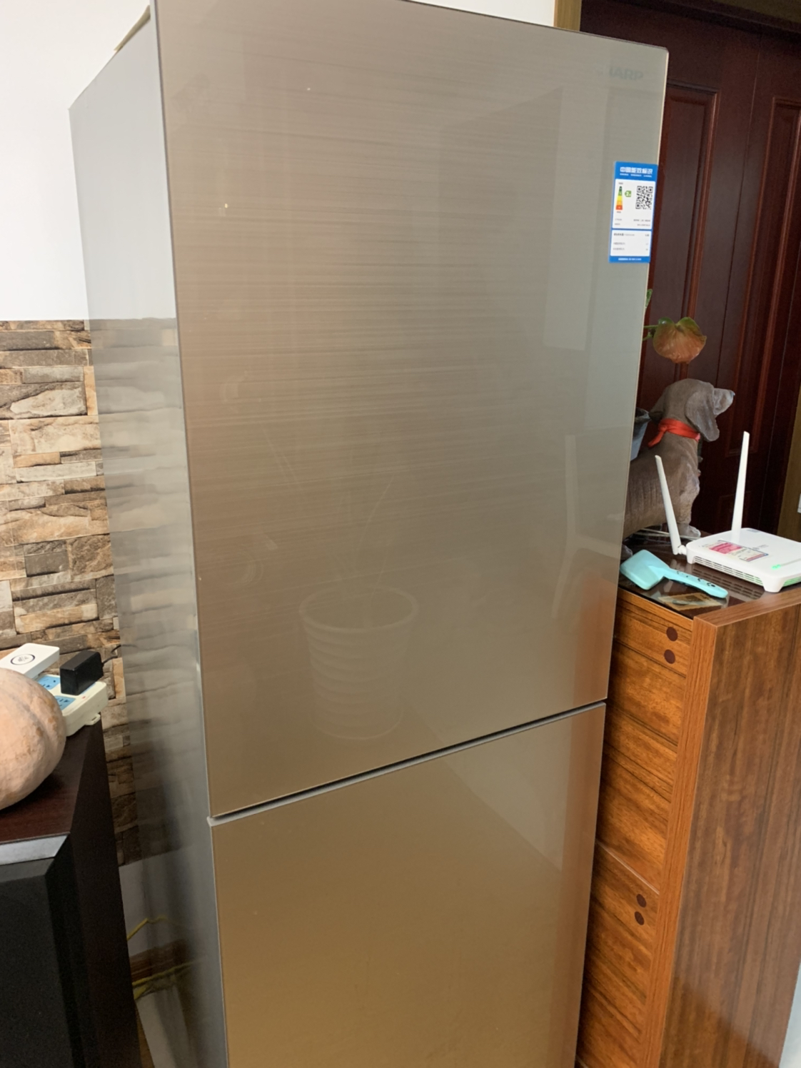 旗舰正品 夏普(sharp)冰箱246升两门 风冷无霜节能 小型家用 电脑控温