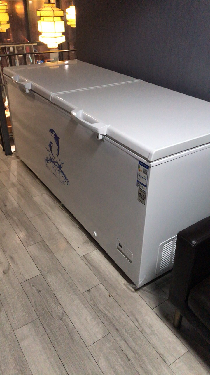 澳柯玛(aucma) 冰柜商用速冻大容量卧式冷柜冷藏冷冻转换雪柜急冻低温