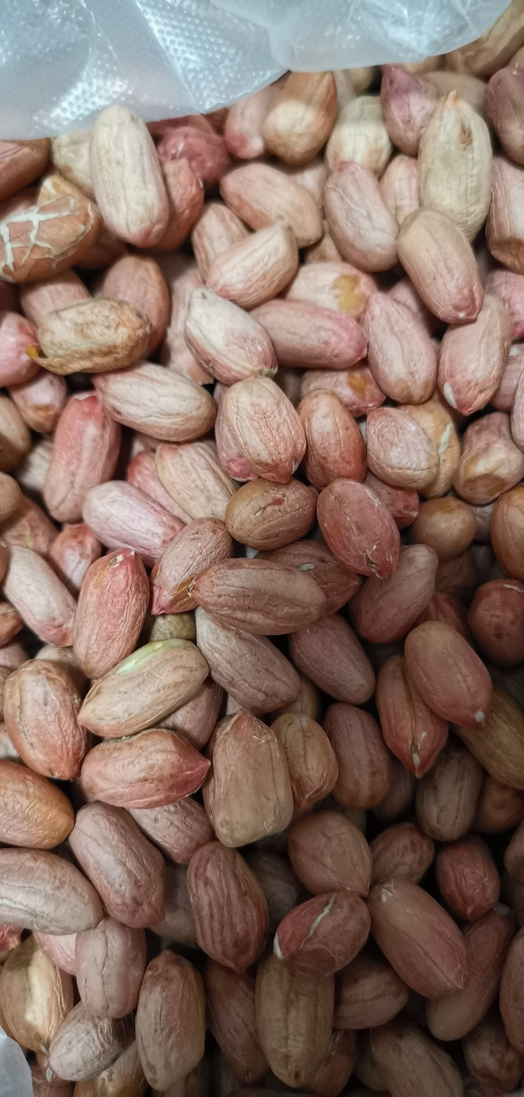 [中华特色]兰考馆新生花生米1500g 杂粮 手工剥皮农家自种花生仁 华中