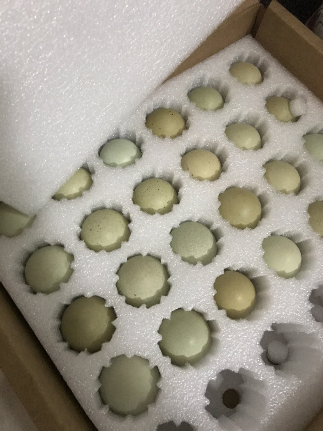 [中华特色]贵州馆 长顺绿壳鸡蛋24枚 国家地标产品 贵州特产高山林间