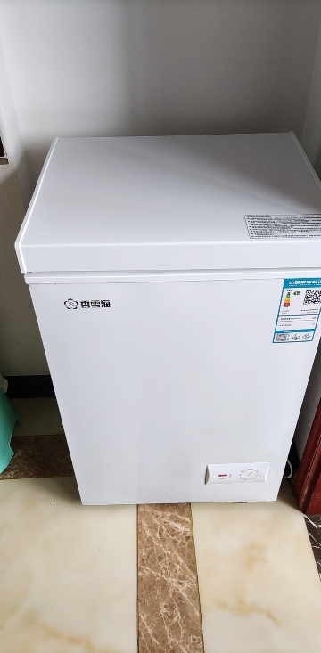 香雪海 迷你冰柜 冰柜小型家用 母乳储藏冷柜 一级能效 冷藏冷冻转换