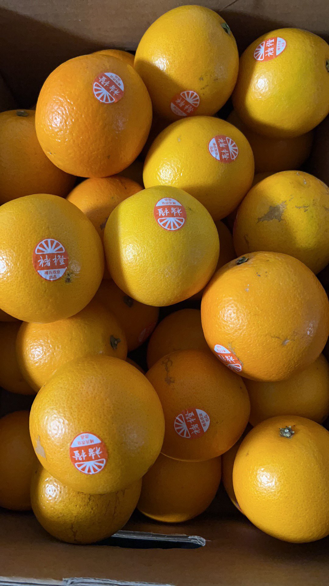 礼盒装新疆怎么样_礼盒装新疆好不好_礼盒装新疆价格,评价,图片-苏宁