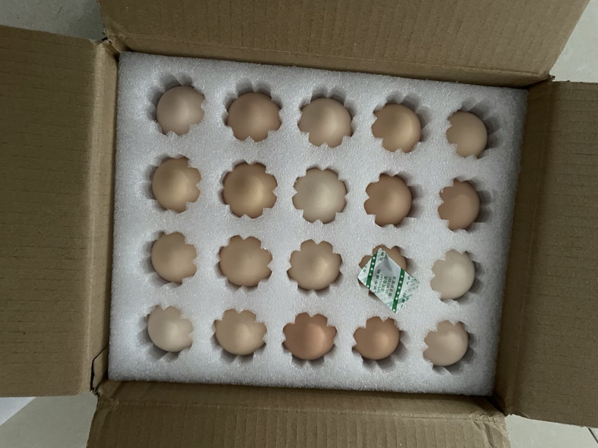 [五个农民]现捡现发 营养丰富皖南九华山散养土鸡蛋 40枚装晒单图