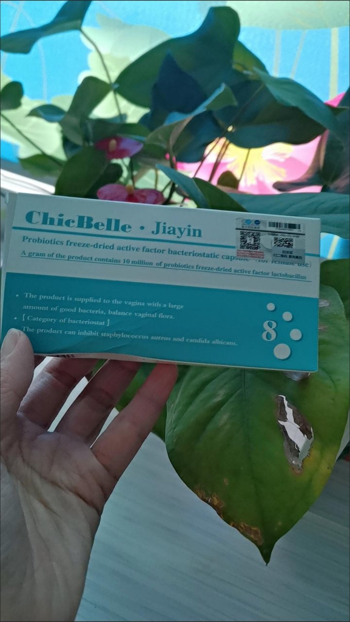 佳茵善愈益生菌冻干粉活性因子妇用8粒/盒阴道凝胶女用私处护理洗液