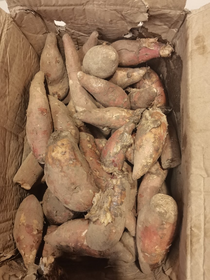 蜜薯糖心红薯新鲜地瓜10斤农家自种板栗番薯现挖当季蔬菜整箱晒单图