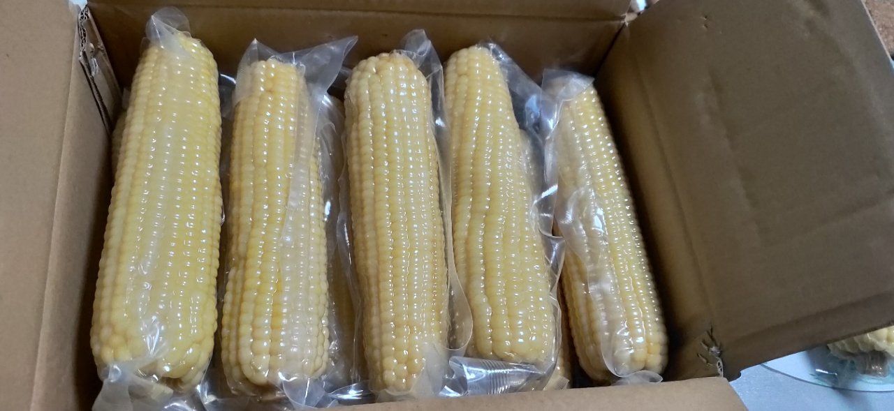 燕之坊白糯玉米甜糯玉米棒10袋 五谷杂粮 净含量3kg 非转基因真空包装