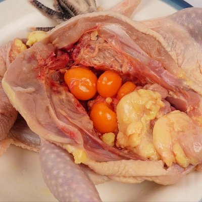 五个农民 400天产蛋黄油老母鸡 无抗 两只装 1100g/只 黄油丰富晒单图