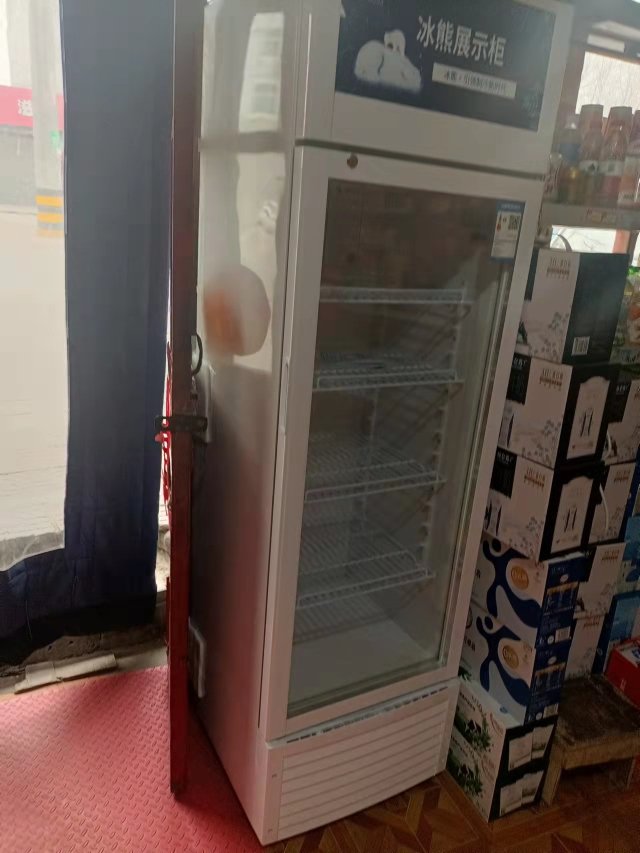 冰熊 338升 立式商用冰箱保鲜饮料冷柜 冷藏展示柜 超市冷饮陈列柜