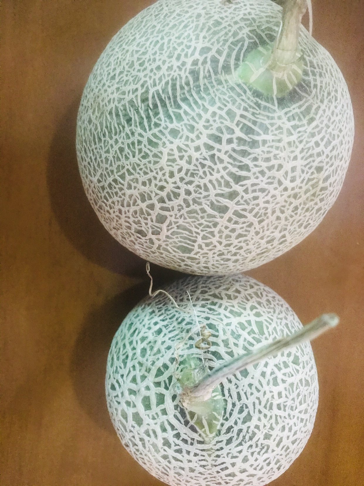 冠町 网纹蜜瓜 玲珑甜瓜当季新鲜水果 苏宁直采 带箱3斤晒单图