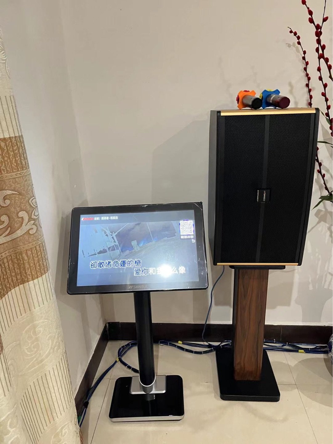 电视套装家庭影院ktv音响k歌卡拉ok组合音箱 3t智能语音点歌机晒单图