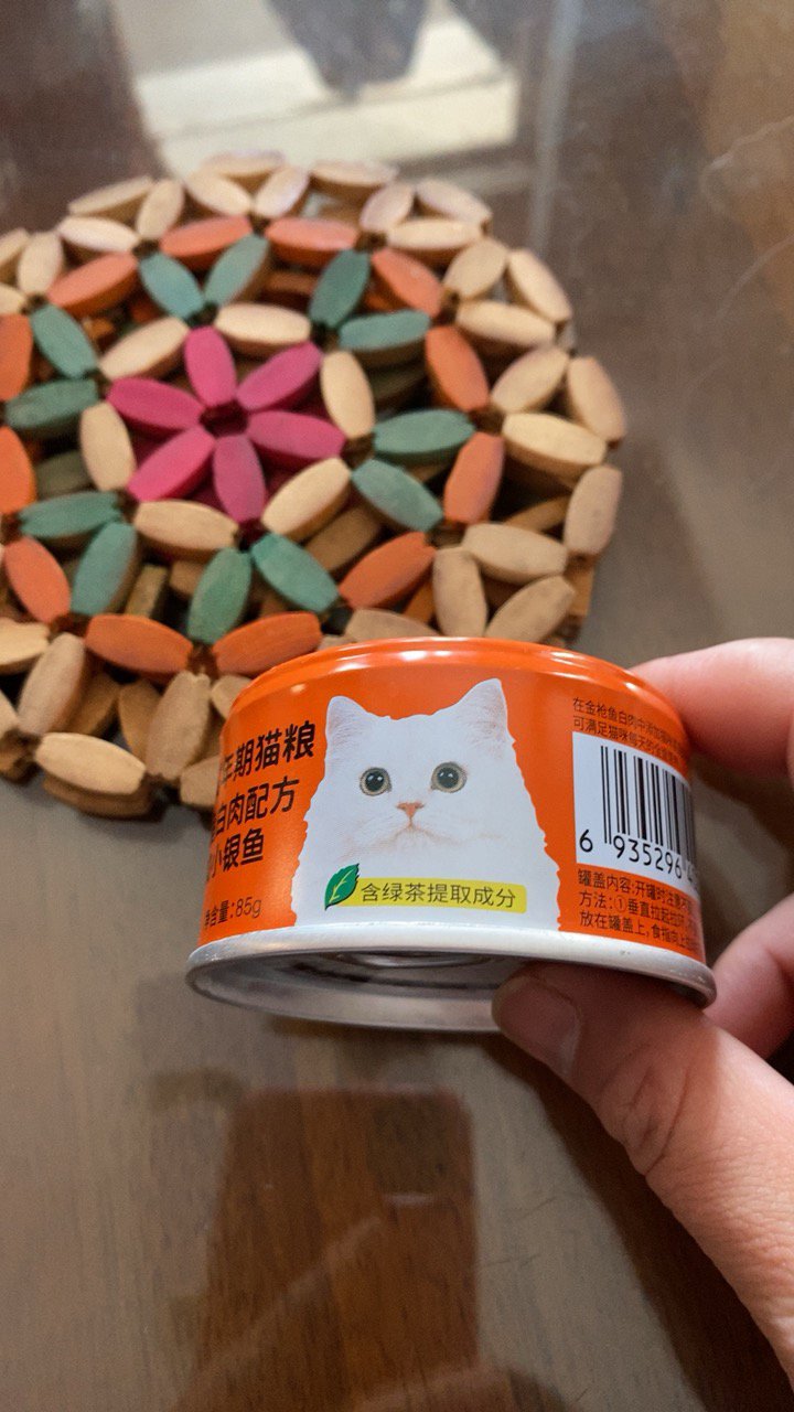 猫罐头幼猫