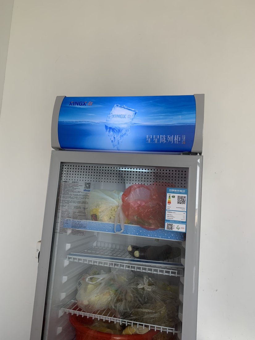 星星(XINGX) 236升展示柜 立式冰柜 保鲜柜 饮料柜 商用 双层玻璃更锁冷 饮品展示更直观 LSC-236C晒单图