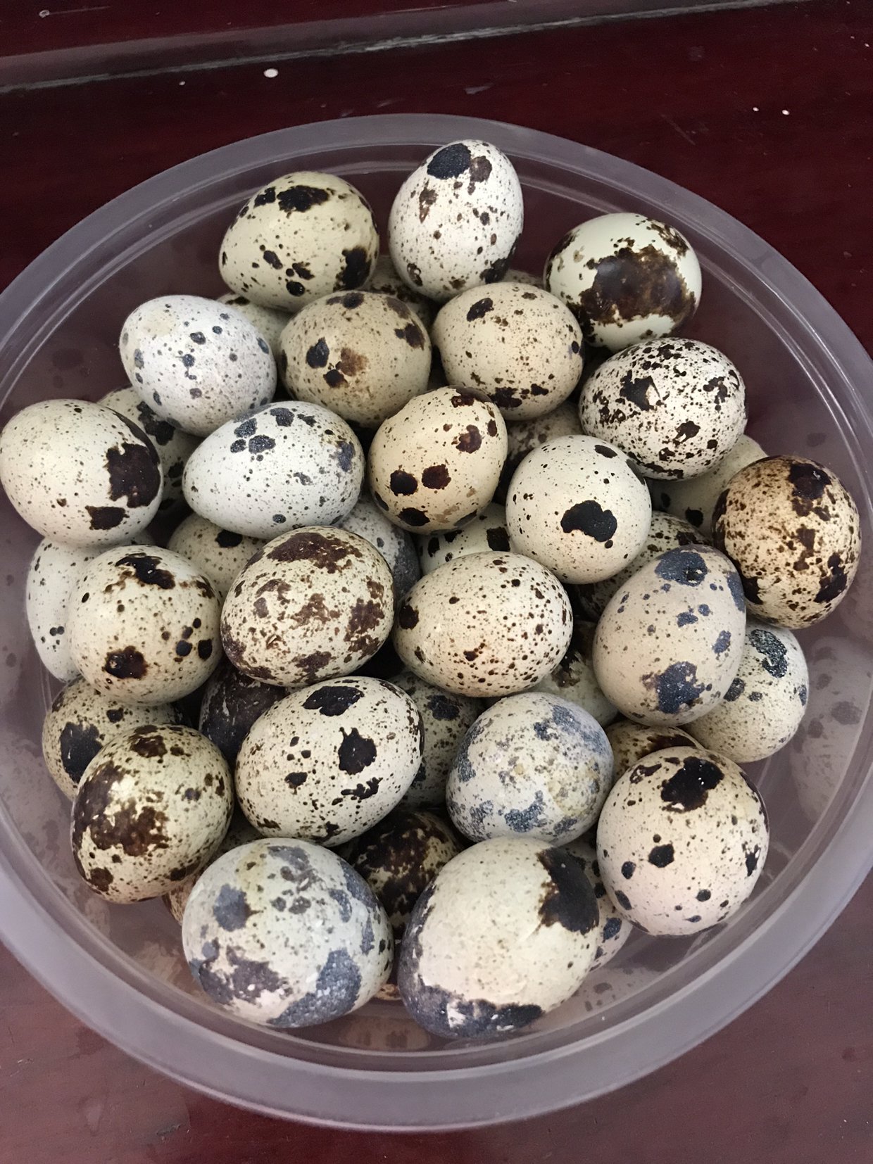 新鲜鹌鹑蛋礼盒